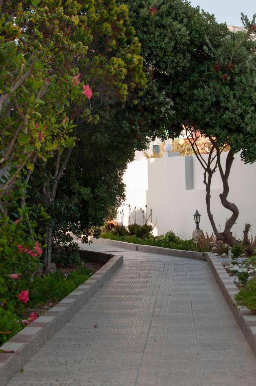 Arkasa Bay Hotel Exteriör bild
